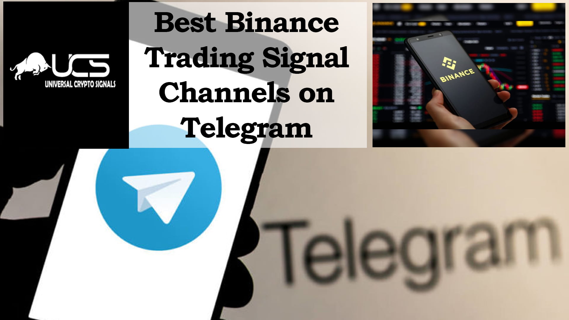 telegram to binance